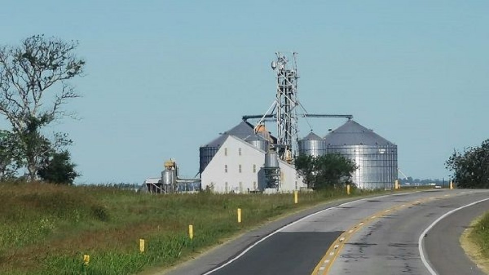 Rendición de cuentas en el agro —  Impuestos — Dinámica Rural | El Espectador 810