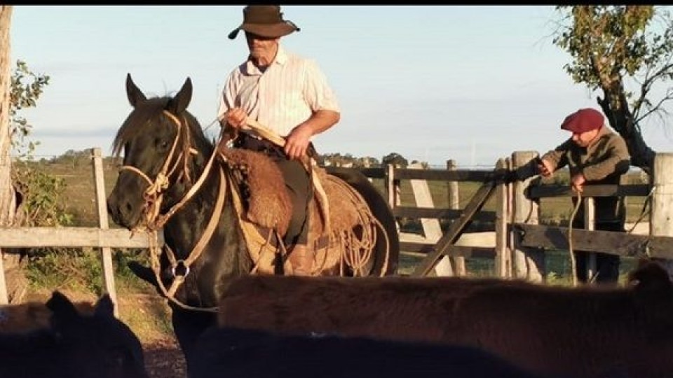 San Gabriel Negocios Rurales se expande  —  Mercados — Dinámica Rural | El Espectador 810