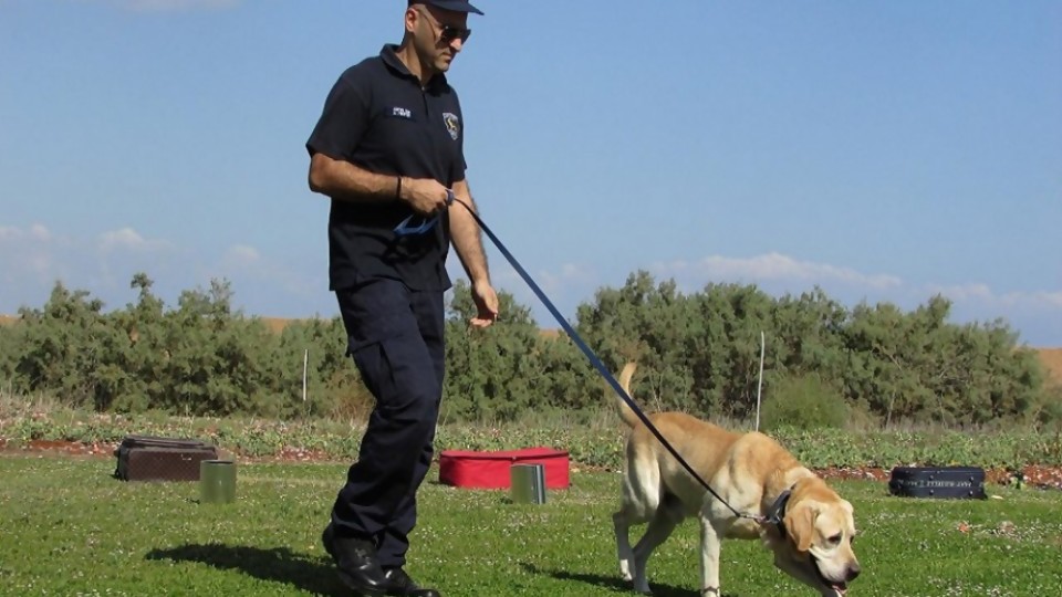 ¿Cómo entrenan a los perros que buscan droga? —  Tu mascota te quiere decir algo — Paren Todo | El Espectador 810