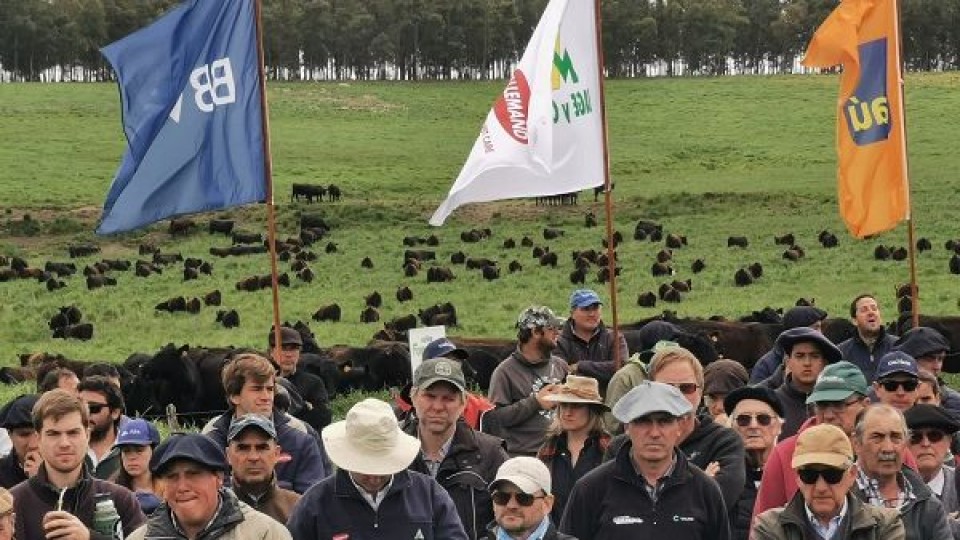 ''Forrajeras 2022'' cumplió su objetivo: aportó información para tomar mejores decisiones —  Agricultura — Dinámica Rural | El Espectador 810