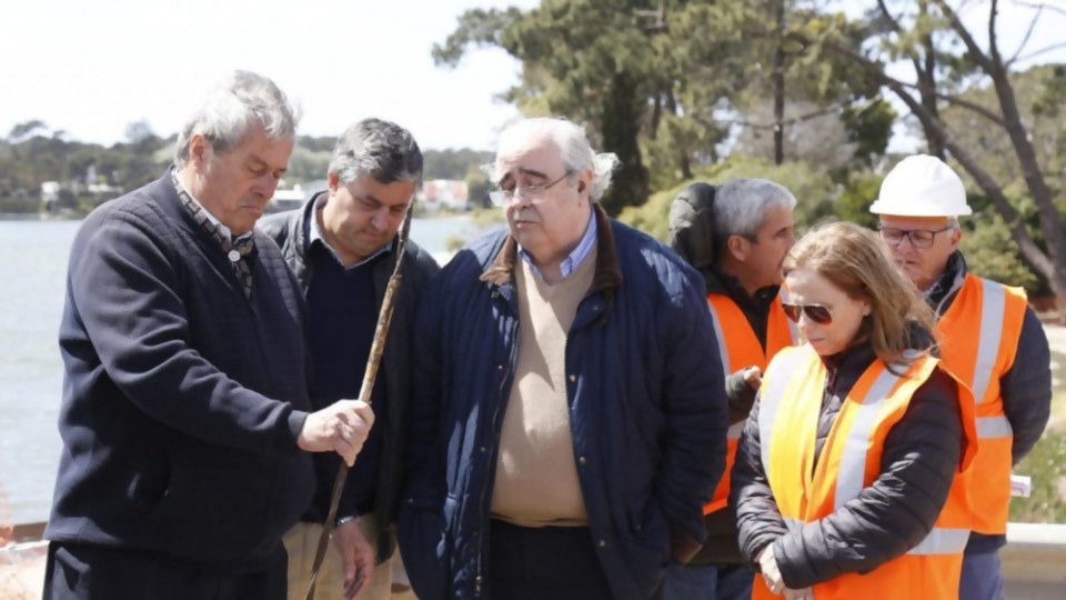 Puente de La Barra en el CTI recibe visita de Antía/ Ecoilogistas anti-petróleo atacan cuadro de Van Gogh/ La 2 de Pfizer se hizo viral  —  Columna de Darwin — No Toquen Nada | El Espectador 810