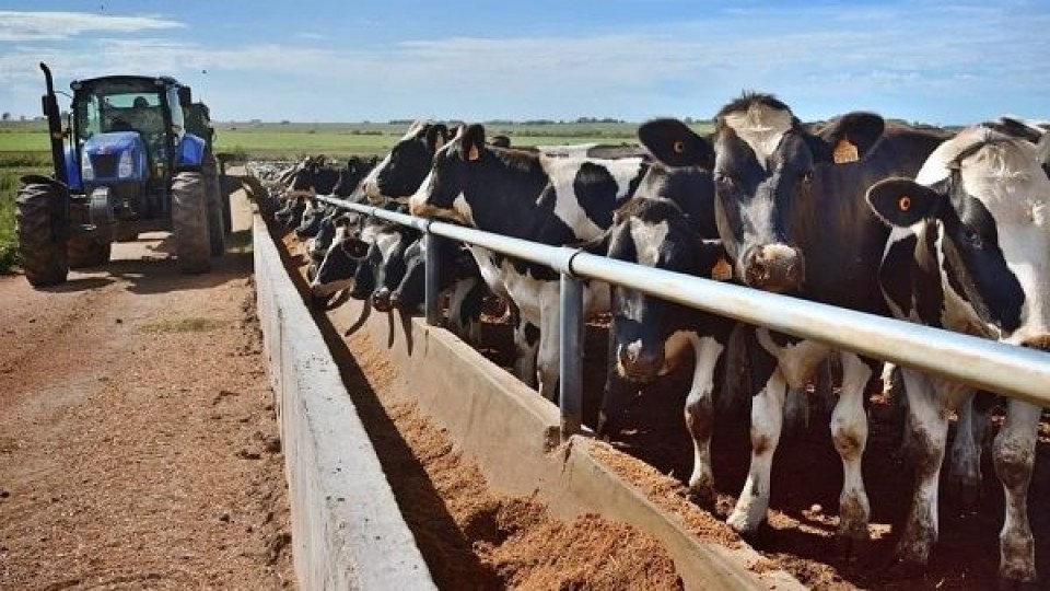 ''Una venta especial'' —  Lechería — Dinámica Rural | El Espectador 810