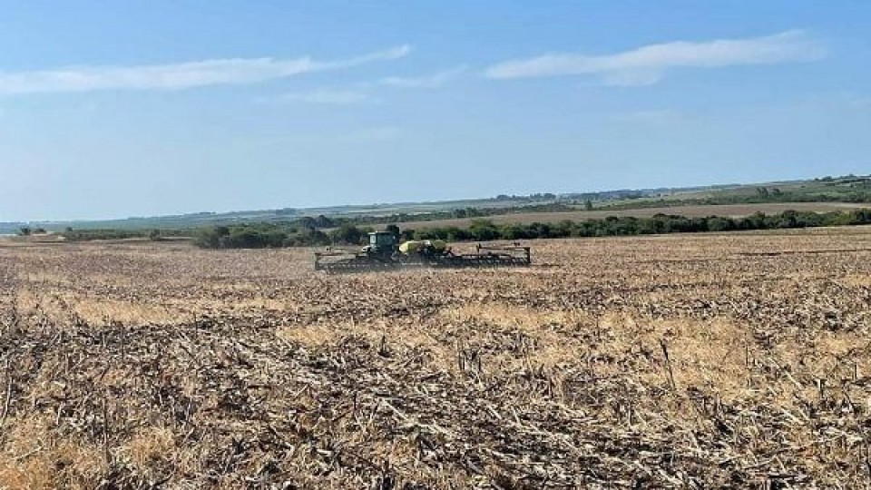 D. Guigou: ''Nos jugamos por la soja, convencidos de que la tecnología y las lluvias que vendrán cambiarán la situación'' —  Agricultura — Dinámica Rural | El Espectador 810