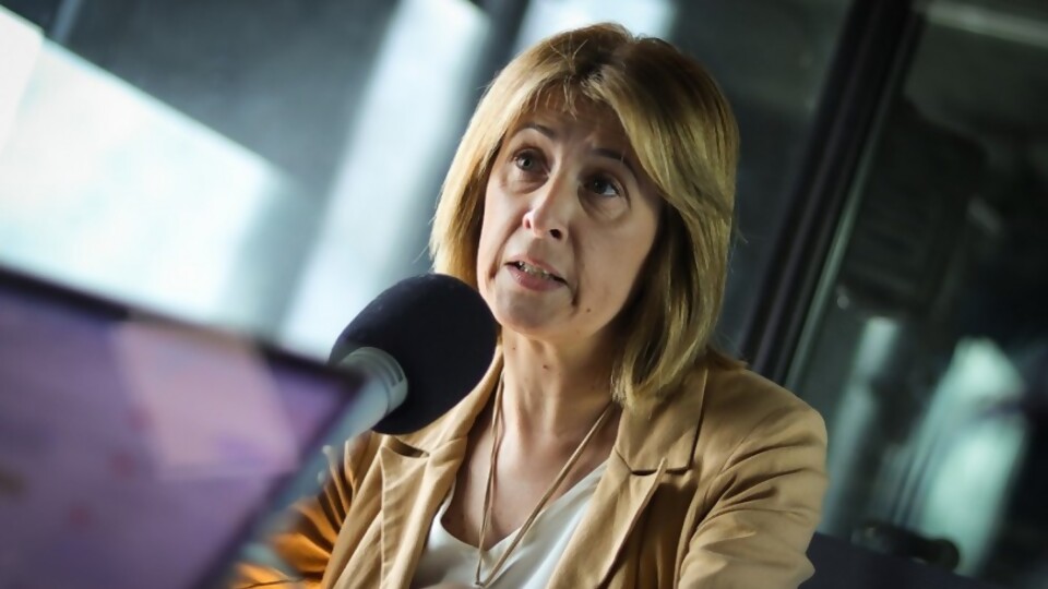 Perros: castración e identificación, la apuesta a “mediano plazo” del gobierno para mejorar la tenencia responsable —  Entrevistas — No Toquen Nada | El Espectador 810