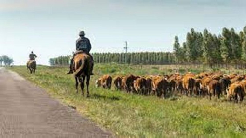 Autoridades exhortan a extremar cuidados para prever los incendios —  Política — Dinámica Rural | El Espectador 810