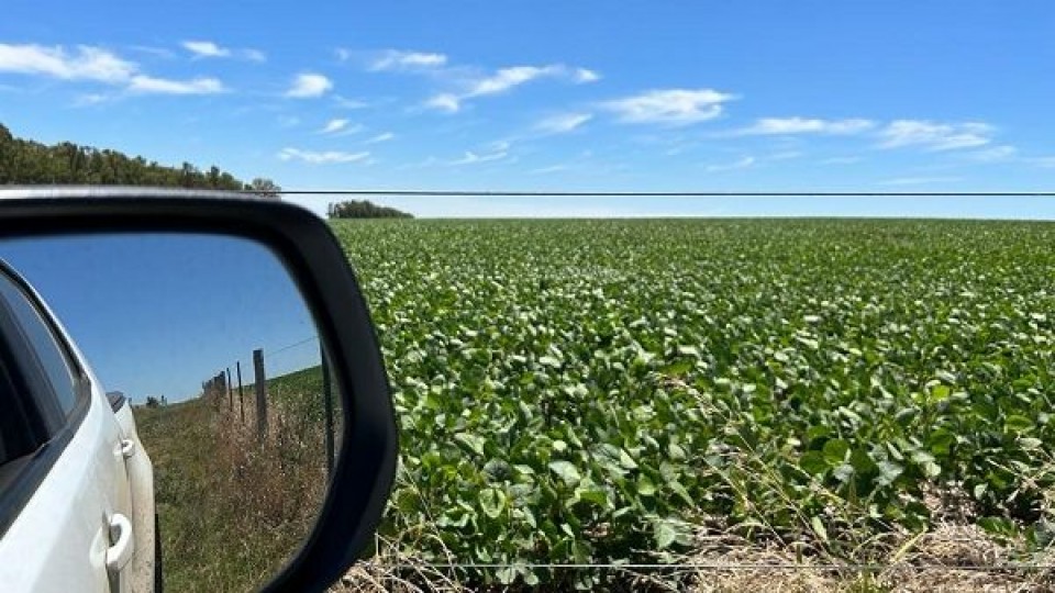 “El MGAP avanza en los seguros agrícolas” —  Agricultura — Dinámica Rural | El Espectador 810