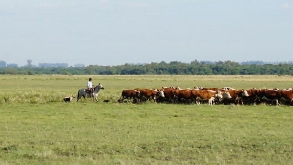 ''El tercer año Niña nos pone en un escenario crónico'' —  Clima — Dinámica Rural | El Espectador 810