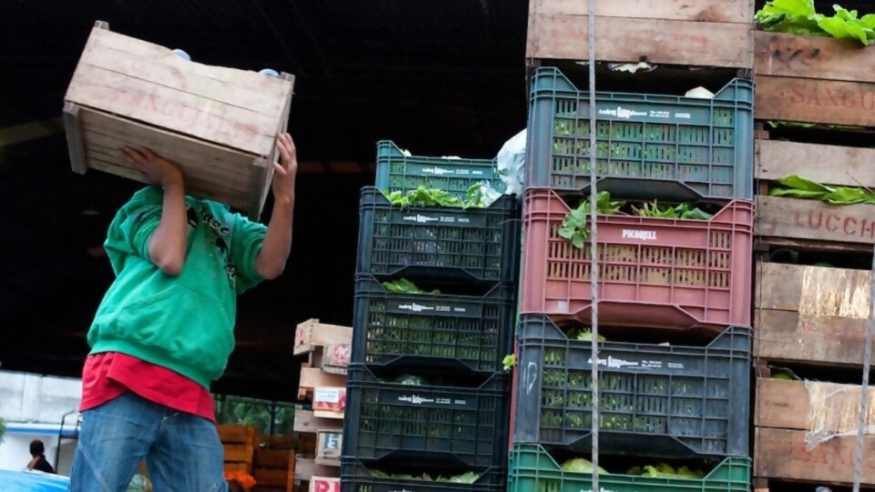 El déficit hídrico y la producción hortifrutícola —  NTN Concentrado — No Toquen Nada | El Espectador 810