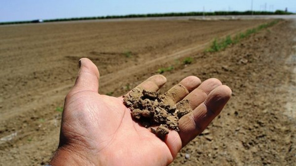 UTE promueve financiamiento para el sector productivo” —  Economía — Dinámica Rural | El Espectador 810