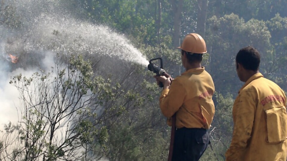 “La causa de los incendios mayoritariamente es humana” —  La entrevista — Paren Todo | El Espectador 810