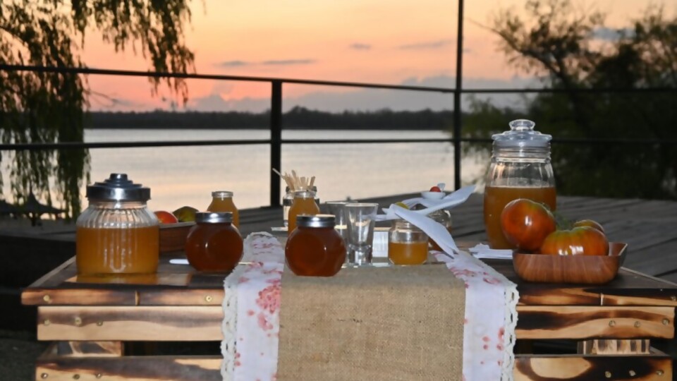 La cata de tomate en Paysandú —  Andén 810 — Puras Palabras | El Espectador 810