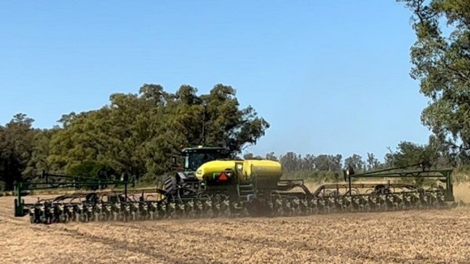 Azambuja: ''Hay una cierta disparidad en las lluvias, lo que afecta, dependiendo de la zona y la escala'' —  Agricultura — Dinámica Rural | El Espectador 810