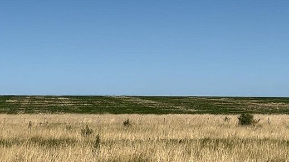 En el centro del país los rindes de verano ''serán muy por debajo de lo esperado'' —  Agricultura — Dinámica Rural | El Espectador 810