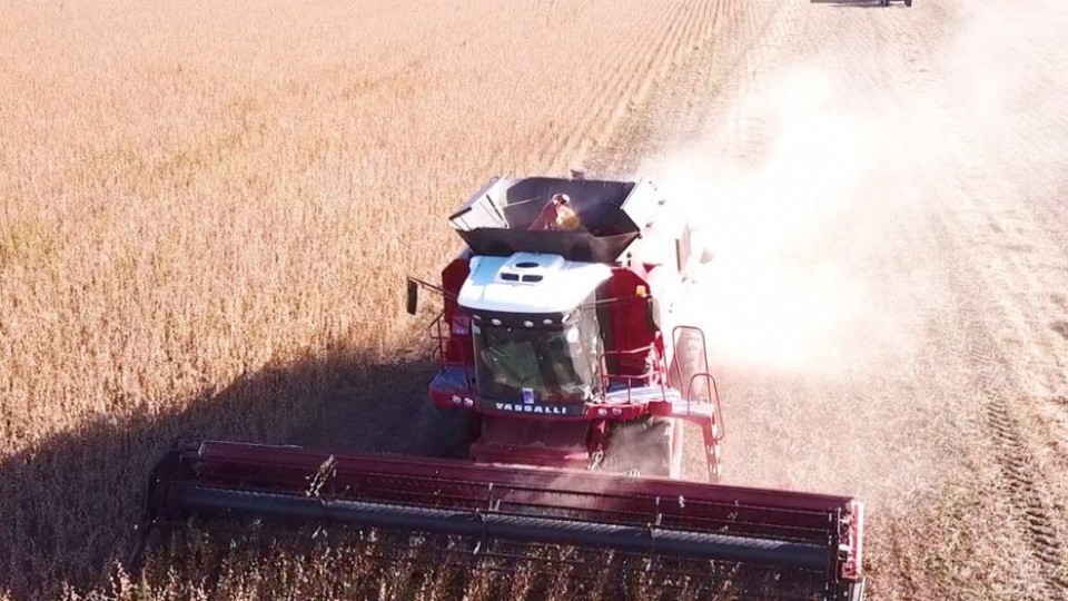 El clásico remate de Pagés Mañay es este sábado —  Mercados — Dinámica Rural | El Espectador 810