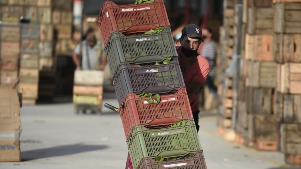 Canasta hortifrutícola: el “peor” momento de carestía se extenderá un mes más  —  Entrevistas — No Toquen Nada | El Espectador 810