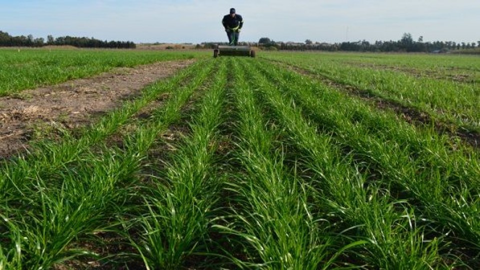 PGG: ''Está realizando un fuerte trabajo en logística y entrega de semillas'' —  Agricultura — Dinámica Rural | El Espectador 810