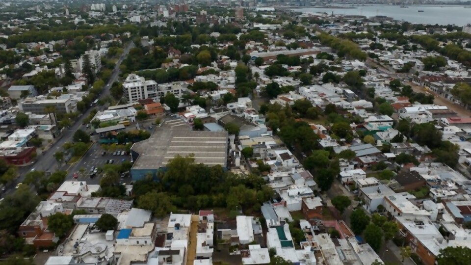 ¿Cómo está el mercado de alquileres en Uruguay? —  Economía en casa — Paren Todo | El Espectador 810