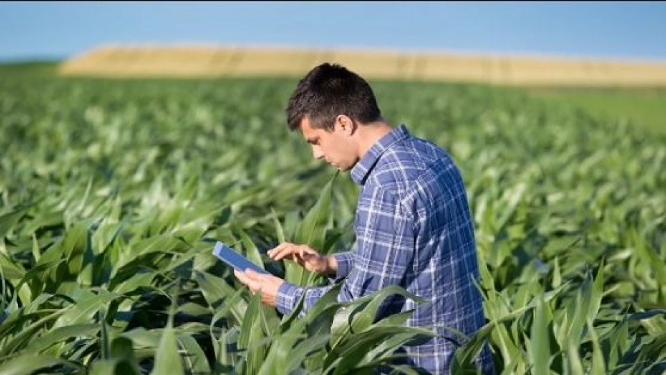 Argentina un país ''en crisis'' política que repercute en el campo —  Comercio Exterior — Dinámica Rural | El Espectador 810