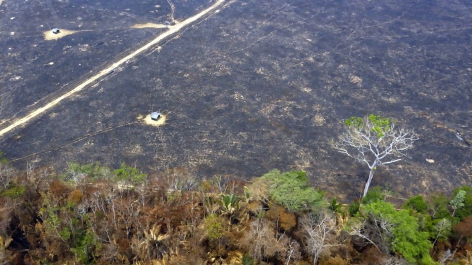 Amazonía: mucho humo y pocas nueces —  GPS Activado — Más Temprano Que Tarde | El Espectador 810