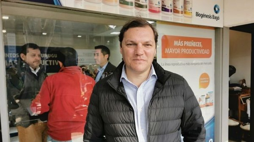 La gripe porcina en China generó daños que no se revertirán 'hasta dentro de 5 o 10 años' — Ganadería — Dinámica Rural | El Espectador 810