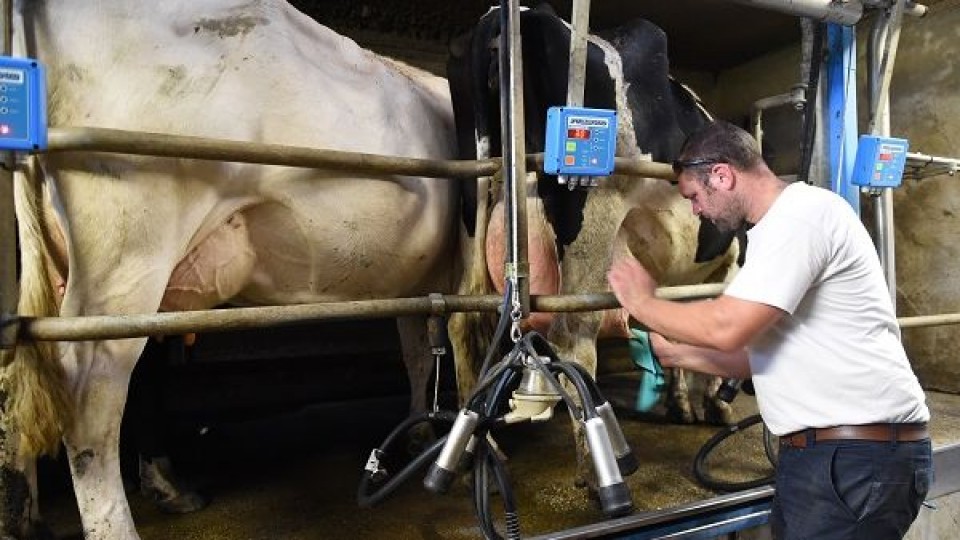 Proleco anunció fideicomiso lechero con fondos del BID para pagar entre 7 a 12 años —  Lechería — Dinámica Rural | El Espectador 810