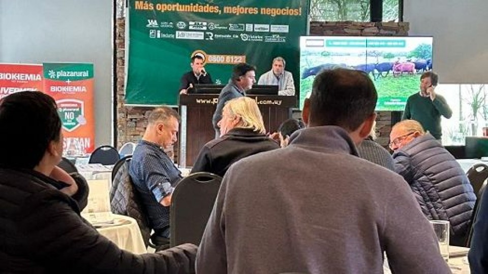 Remate 268 de Plaza Rural dejó ver, en dos jornadas, un mercado activo —  Mercados — Dinámica Rural | El Espectador 810