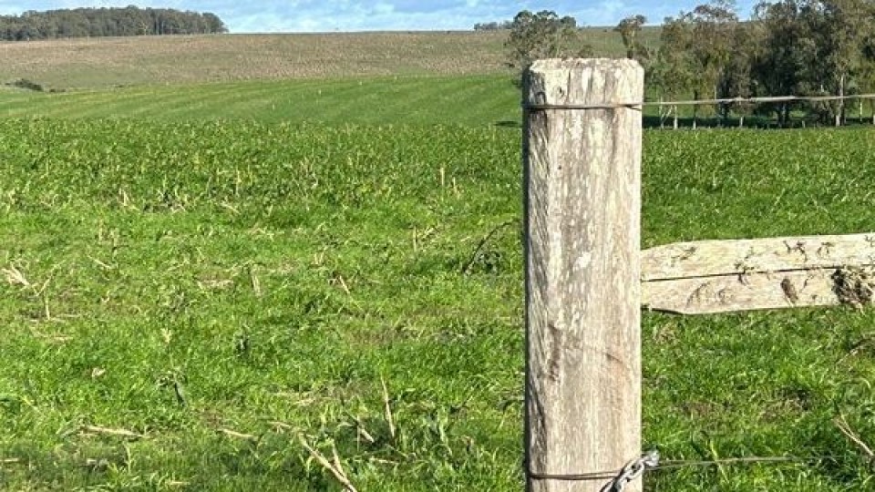 Climatólogo Mario Bidegain: la semana continuará fría y sin lluvias —  Clima — Dinámica Rural | El Espectador 810