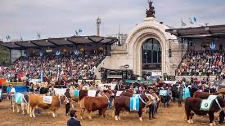 Pino resalta nivel de Expo Palermo “en un año en que la sequía nos pegó una trompada a todos” —  Exposiciones — Dinámica Rural | El Espectador 810