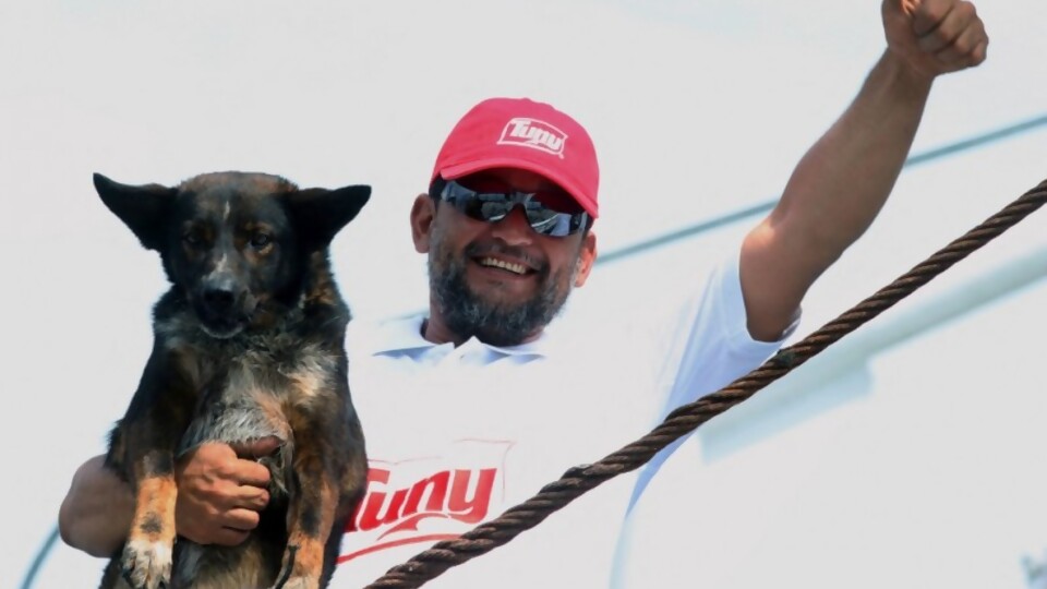 De animales fuertes: la perra mexicana del naufragio y los 31 días de libertad de Titón —  Columna de Darwin — No Toquen Nada | El Espectador 810