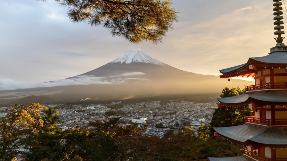 El secreto japonés  —  Puras historias — Puras Palabras | El Espectador 810