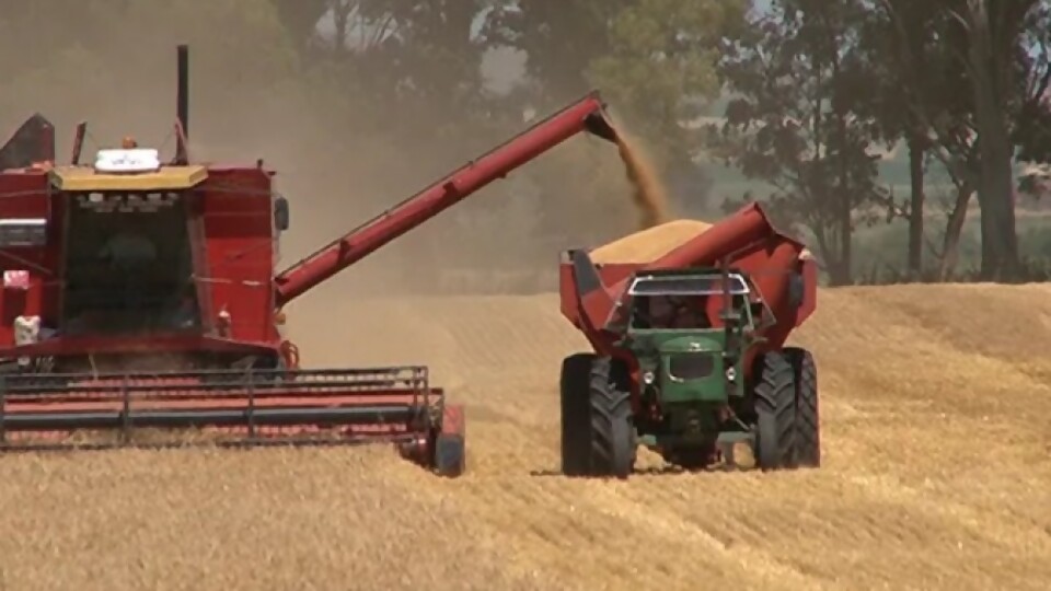 González: las cosechas de invierno y sus rendimientos, y los avances de la siembra de verano —  Agricultura — Dinámica Rural | El Espectador 810