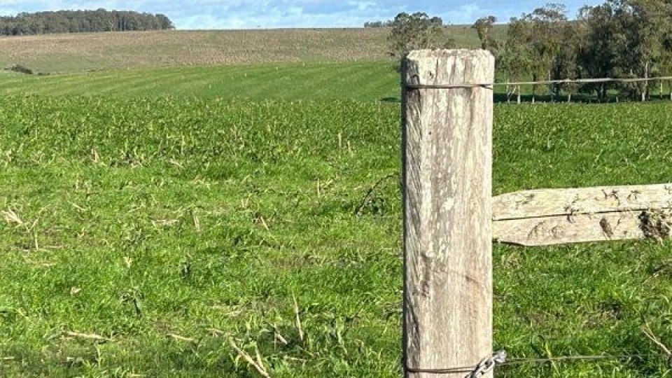 Valores de contenido de agua en el suelo tienden a normalizarse en todo el país —  Investigación — Dinámica Rural | El Espectador 810