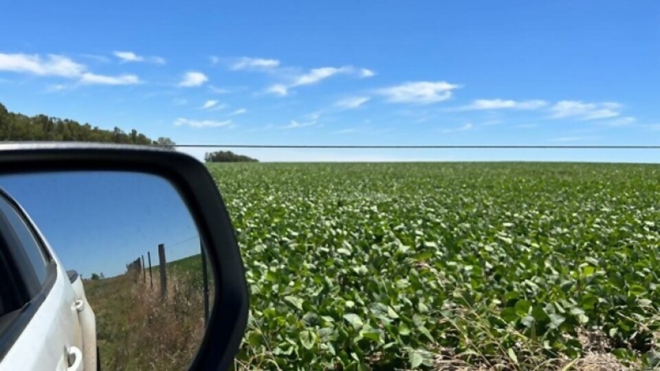 Asamblea de CUSA analizará precios sugeridos para labores agrícolas —  Agricultura — Dinámica Rural | El Espectador 810