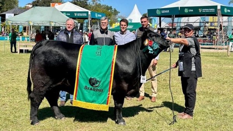 Brangus en Esteio: gran campeón y reservado son “máquinas de carne”, dijo Orodá —  Exposiciones — Dinámica Rural | El Espectador 810