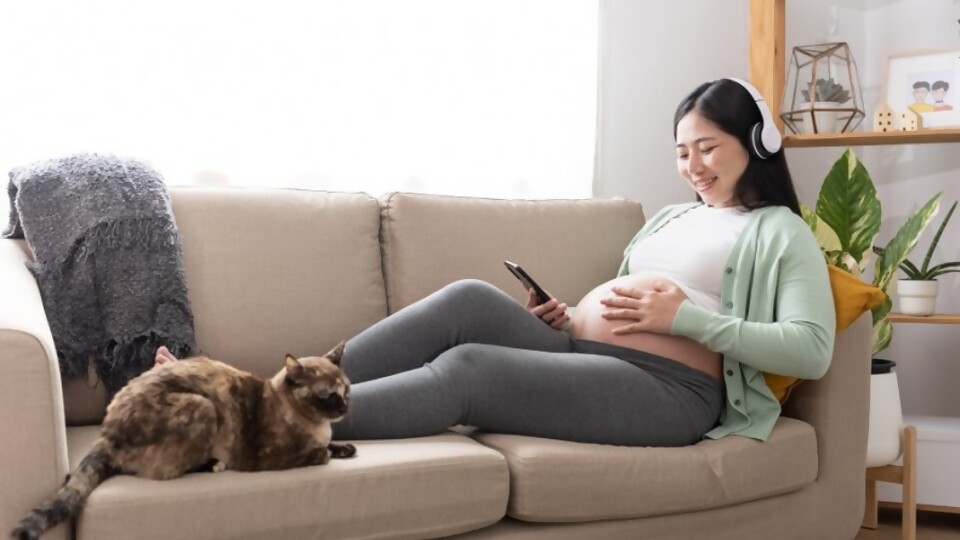 Toxoplasmosis y gatos: mitos y recomendaciones  —  Tu mascota te quiere decir algo — Paren Todo | El Espectador 810