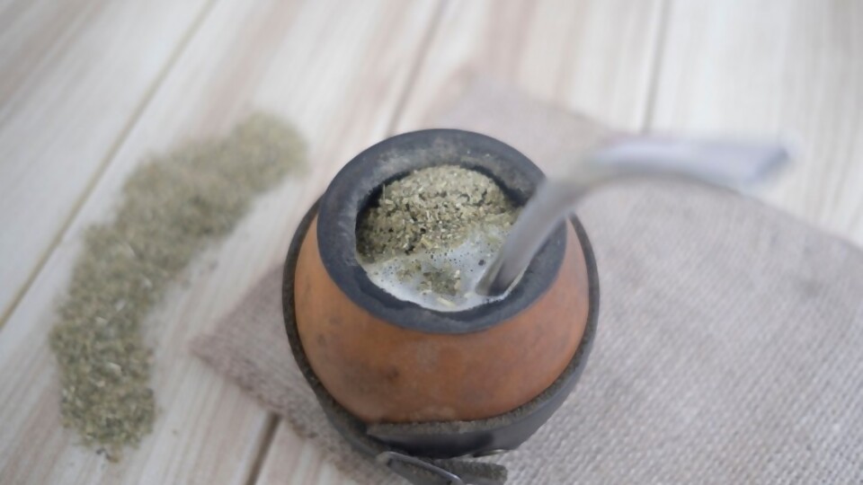 Los efectos de la yerba mate en la salud —  Jardinería Atómica — Humano Curioso | El Espectador 810