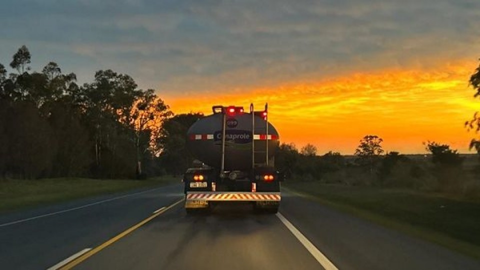 Alejandro Pérez Viazzi: nuevas utilidades capturadas se trasladarán inmediatamente al precio —  Lechería — Dinámica Rural | El Espectador 810