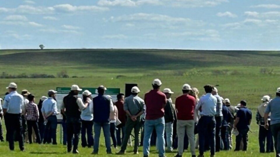 Carriquiry sobre disponibilidad de pasturas: en el sur todavía hay productores en situación crítica —  Agricultura — Dinámica Rural | El Espectador 810