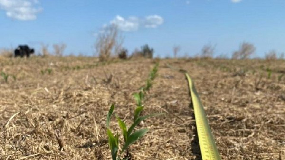 Nubel Cisneros: las lluvias darán un impasse hasta mitad de la próxima semana  —  Clima — Dinámica Rural | El Espectador 810