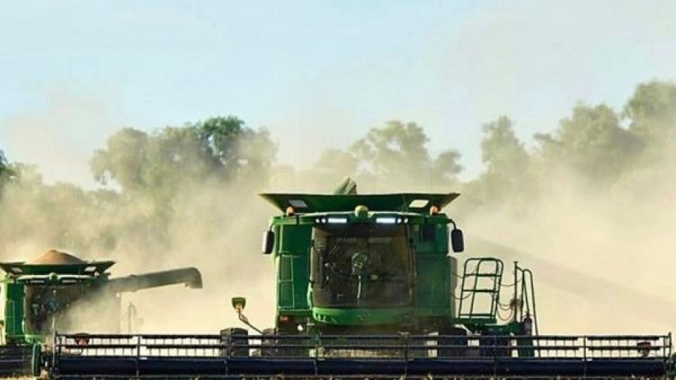 Bidegain: el año finaliza con descenso de temperaturas —  Clima — Dinámica Rural | El Espectador 810