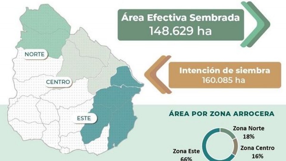 Área sembrada efectiva de arroz es de 148.629 hectáreas, con algunas áreas en las que cabe esperar disparidad —  Agricultura — Dinámica Rural | El Espectador 810