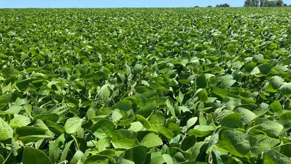 Alexis González: nos estamos jugando mucho en las posibles lluvias de estos días —  Agricultura — Dinámica Rural | El Espectador 810