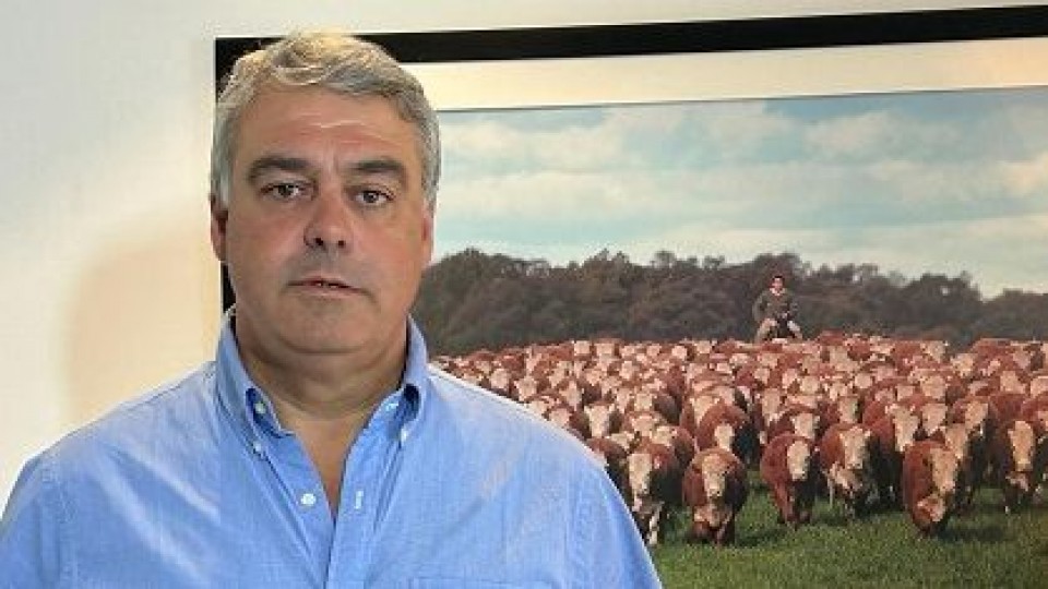 Aicardi: un muy buen promedio en remate anual de La Pastoral — Ganadería — Dinámica Rural | El Espectador 810