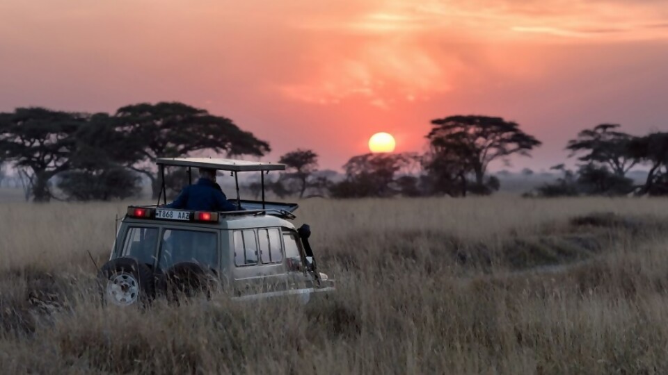 Consejos para un safari en África —  Segmento humorístico — La Venganza sera terrible | El Espectador 810