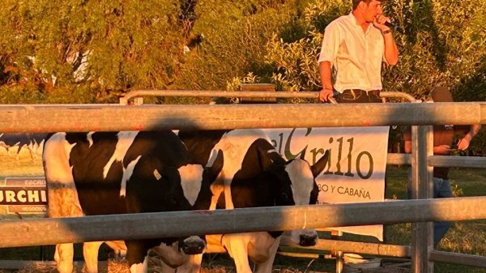 Brum: la genética de cabaña El Grillo se dispersó hacia las diferentes cuencas a muy buenos valores — Lechería — Dinámica Rural | El Espectador 810