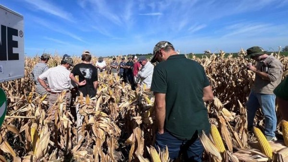 Ferri: los muy buenos rendimientos de lotes de producción en maíz, y lo que se está viendo en soja —  Agricultura — Dinámica Rural | El Espectador 810