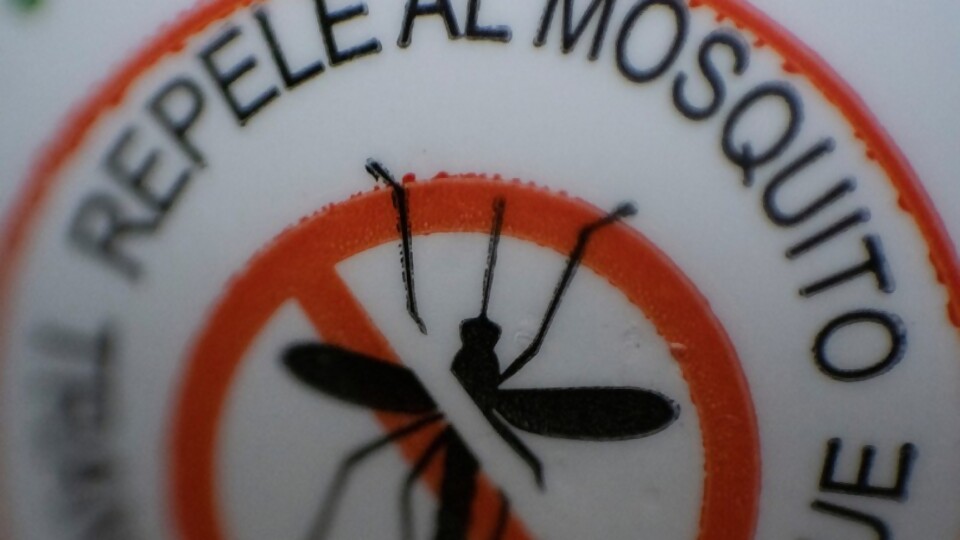 Los factores de la uruguayización del dengue/ Último Papasso Celeste —  Columna de Darwin — No Toquen Nada | El Espectador 810