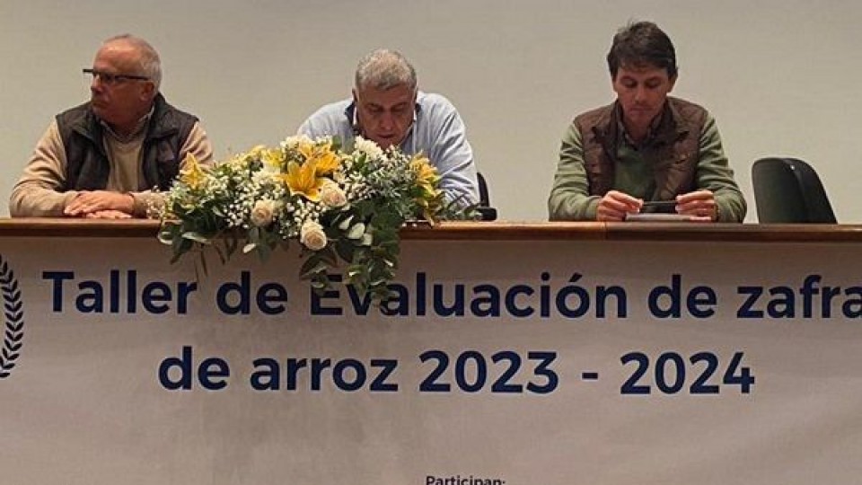 Taller de evaluación: los impactos de las condicionantes climáticas en la zafra de arroz  —  Agricultura — Dinámica Rural | El Espectador 810