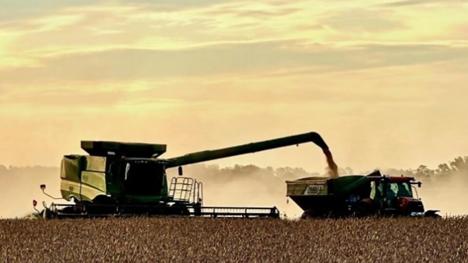 Lo que cabe esperar del mercado internacional de granos —  Agricultura — Dinámica Rural | El Espectador 810