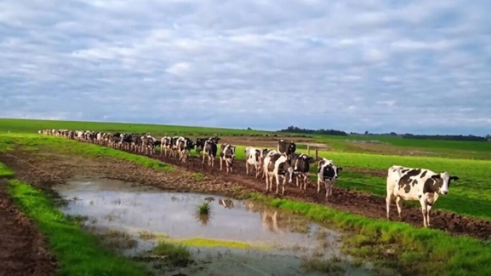 Clima: ‘‘la inestabilidad va a seguir’’, indicó José Serra —  Clima — Dinámica Rural | El Espectador 810